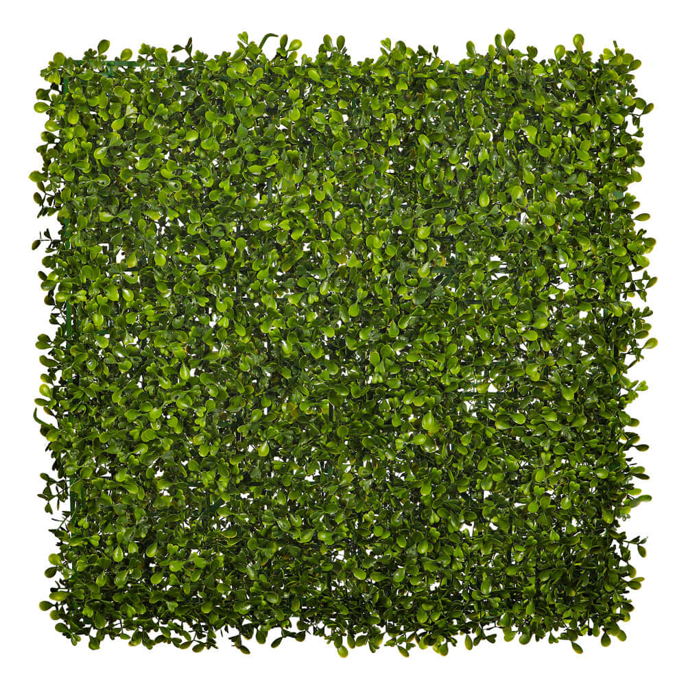 Topiary Hedge Plant