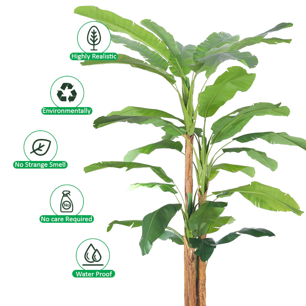 Tropical Banana Tree in Black Pot - Image 5