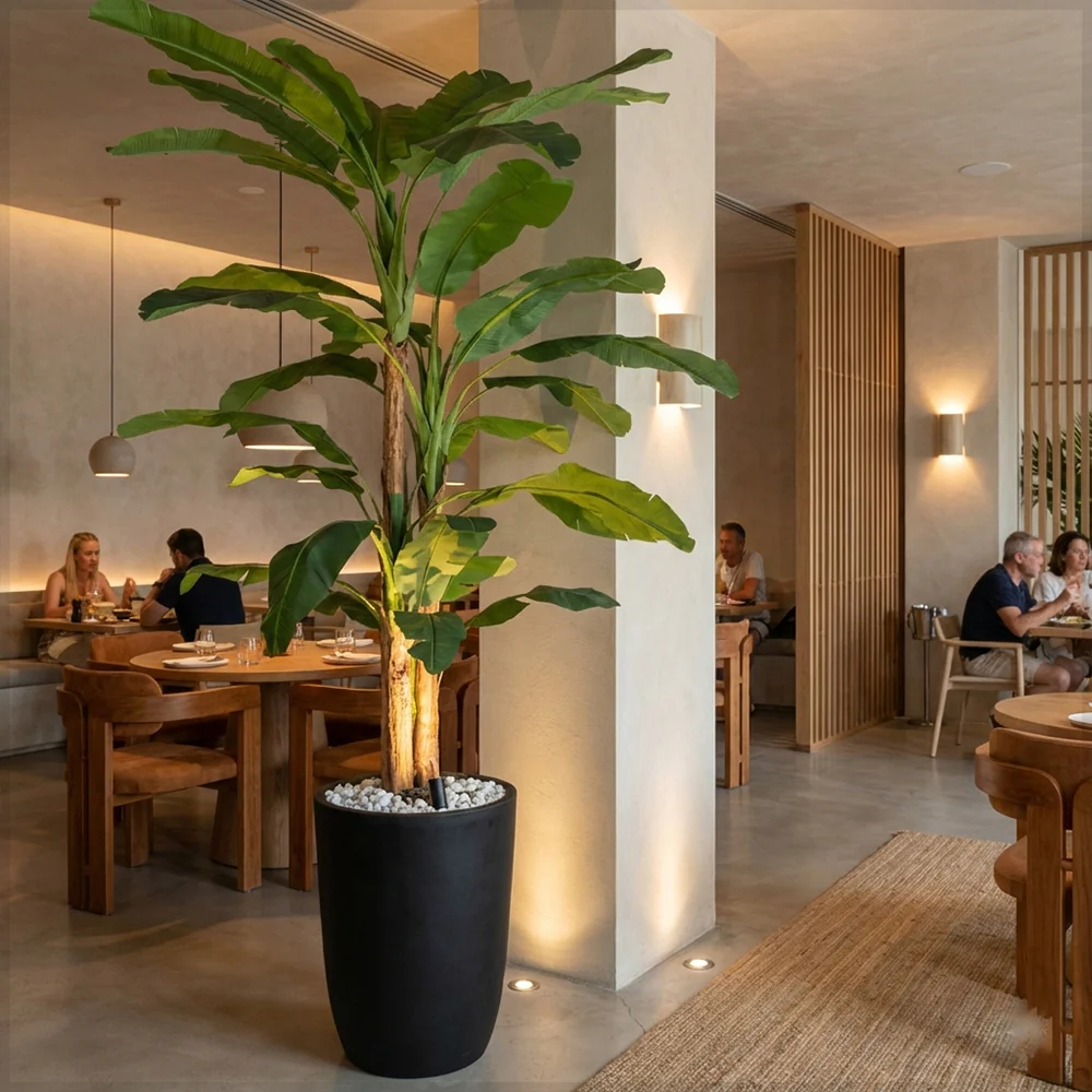 Tropical Banana Tree in Black Pot - Image 8