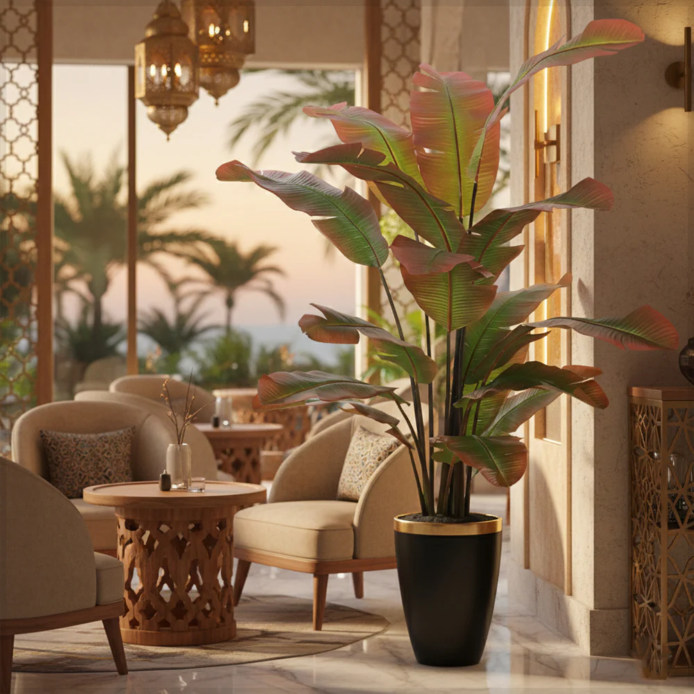 Tropical Banana  Plant in Black Pot - Image 8