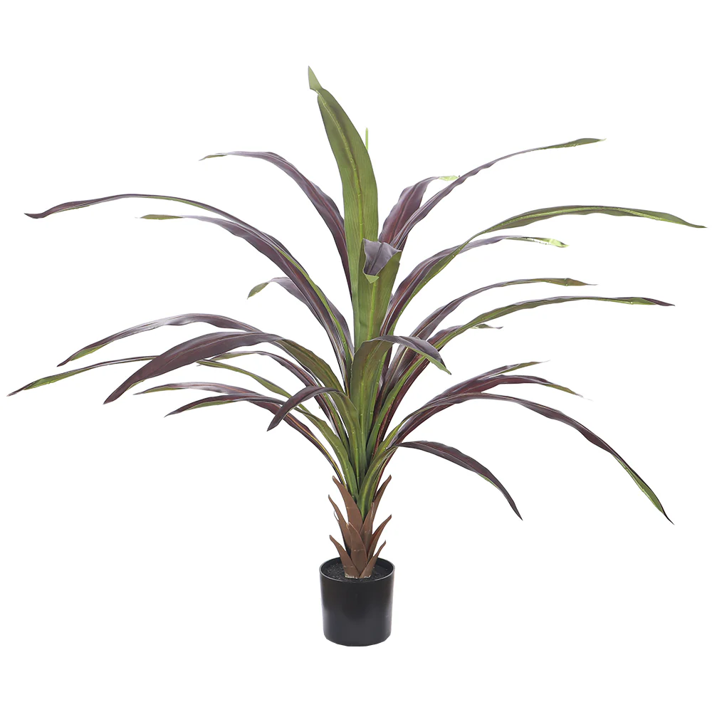 Tropical Indoor Plant in Black Pot - Image 10