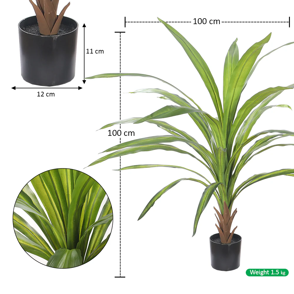 Tropical Indoor Plant in Black Pot - Image 2