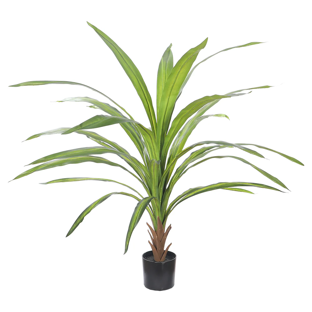 Tropical Indoor Plant in Black Pot - Image 3