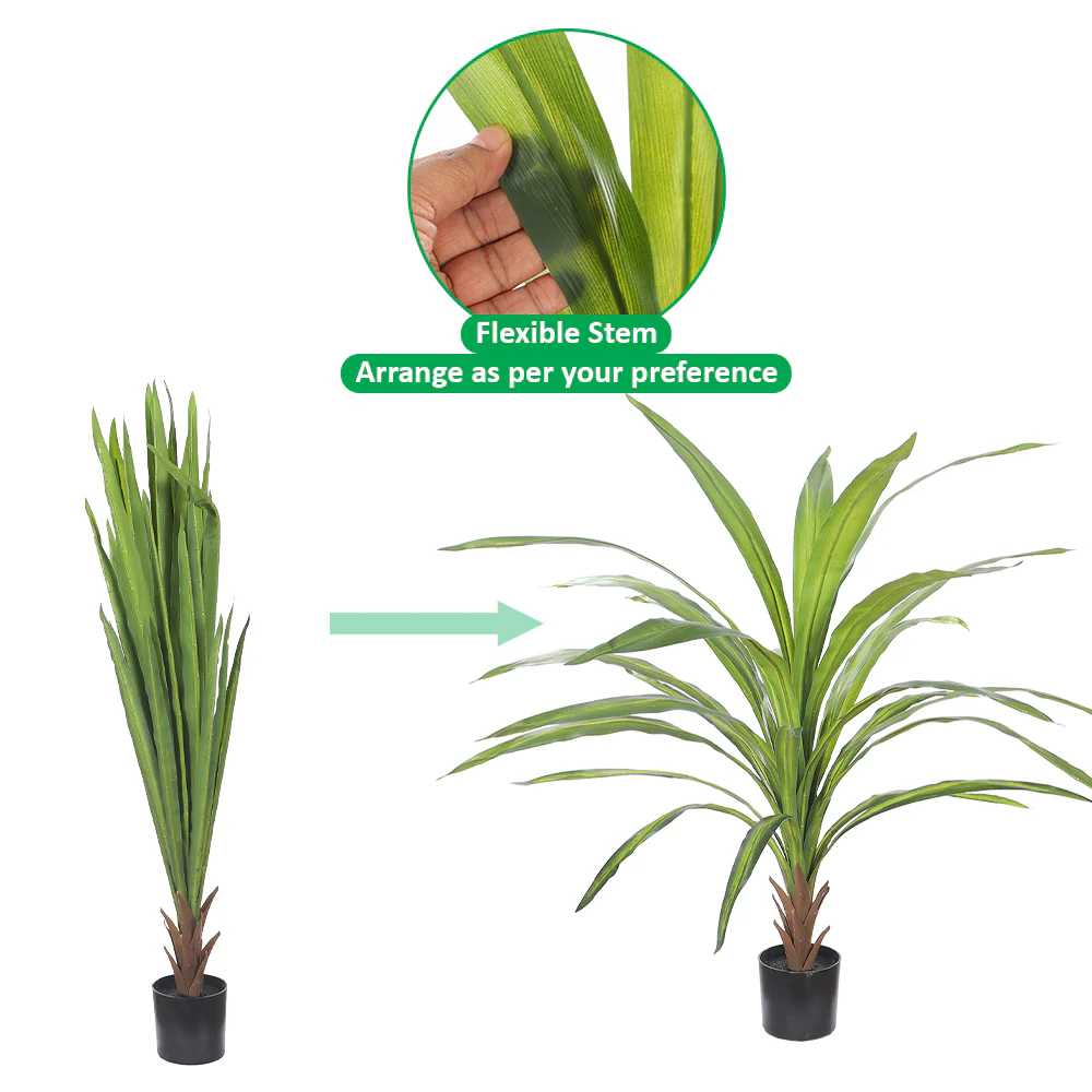 Tropical Indoor Plant in Black Pot - Image 4