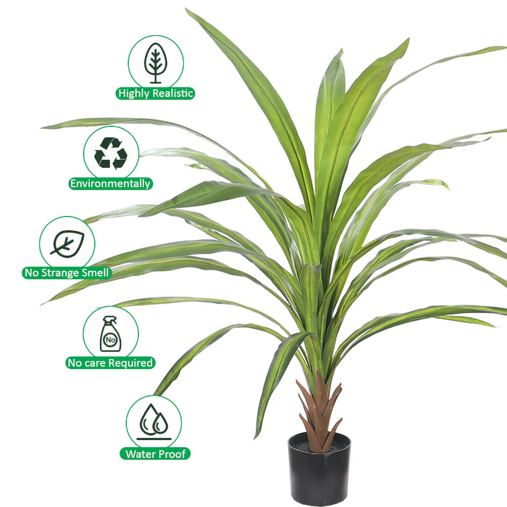 Tropical Indoor Plant in Black Pot - Image 5