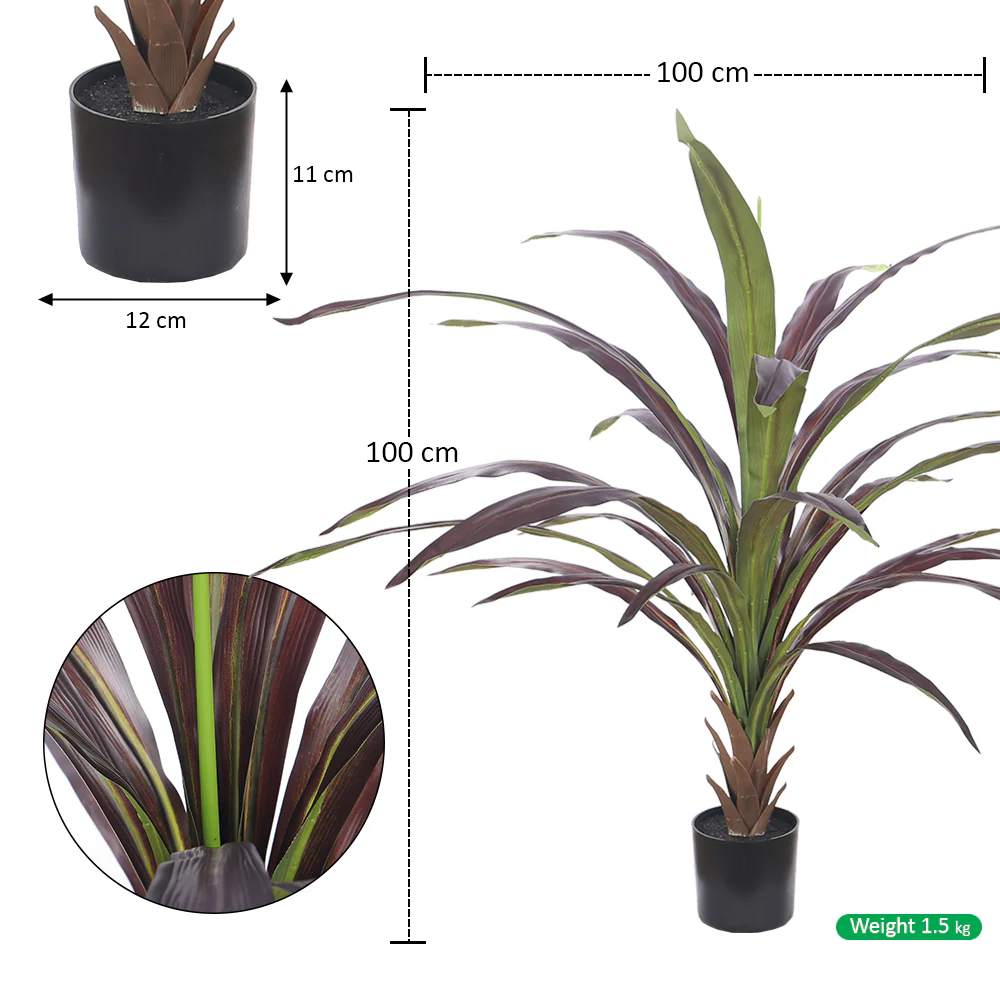 Tropical Indoor Plant in Black Pot - Image 7