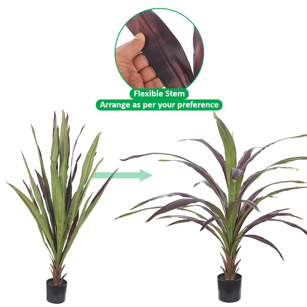 Tropical Indoor Plant in Black Pot - Image 8