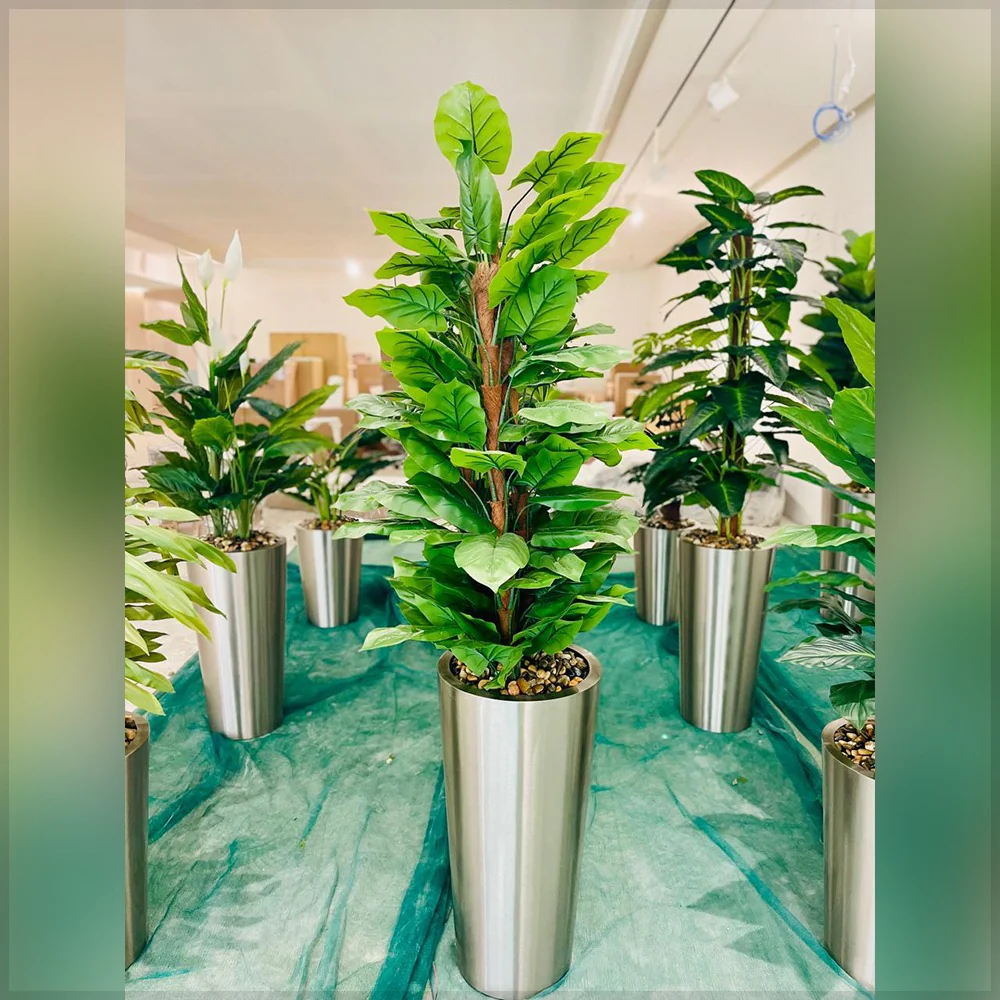 Urban Oasis Green Serenity for display purposes only (non-sale)