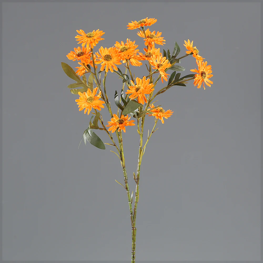 Vibrant Daisy Spray Stem