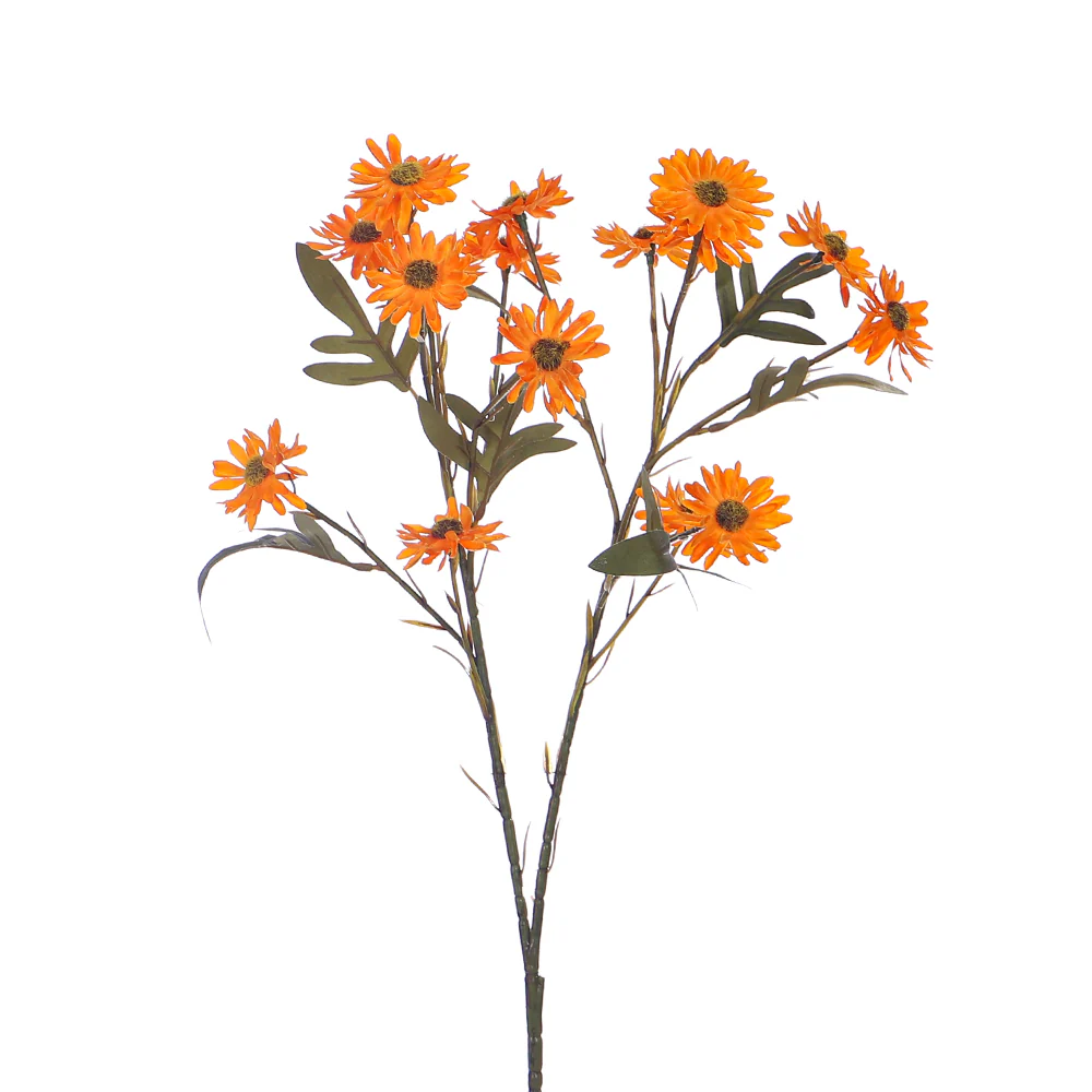 Vibrant Daisy Spray Stem - Image 3