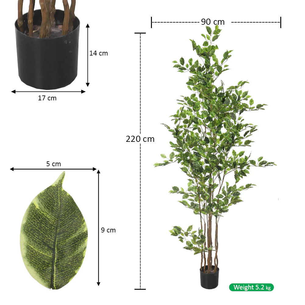 W-Green Artificial Ficus Plant 220cm Tall in Black Pot (Cream Plastic Pot not Included) - Image 2