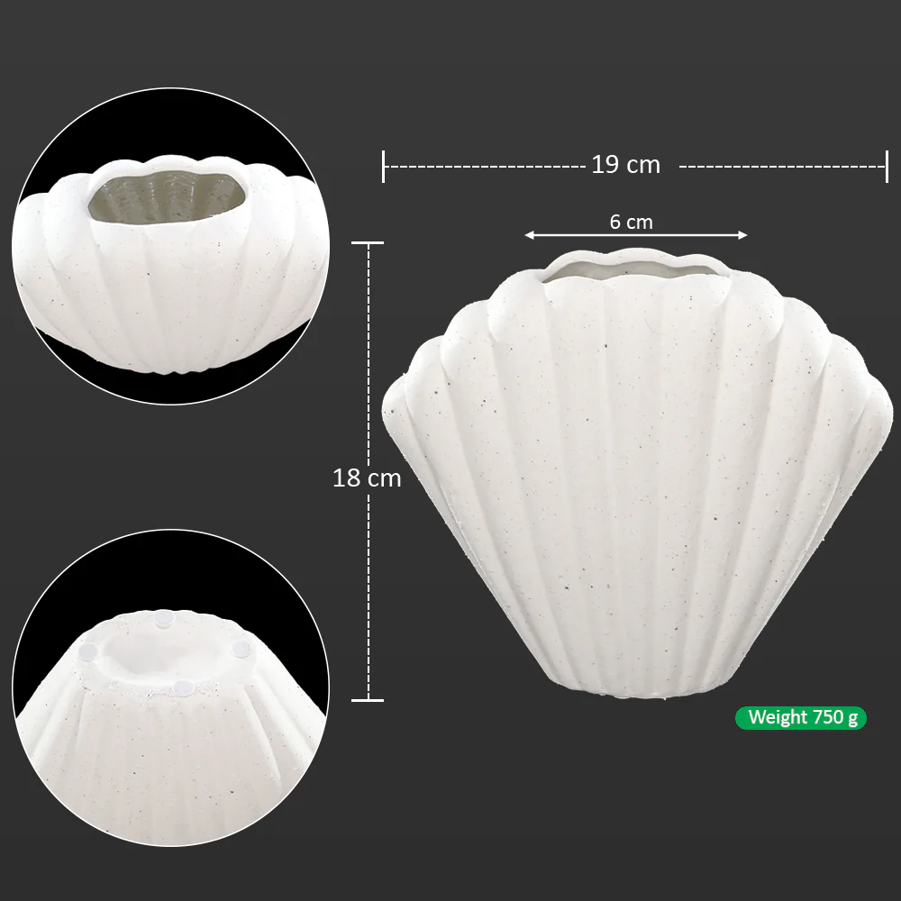 White Shell-Shaped Vase(Flower Not Included) - Image 6