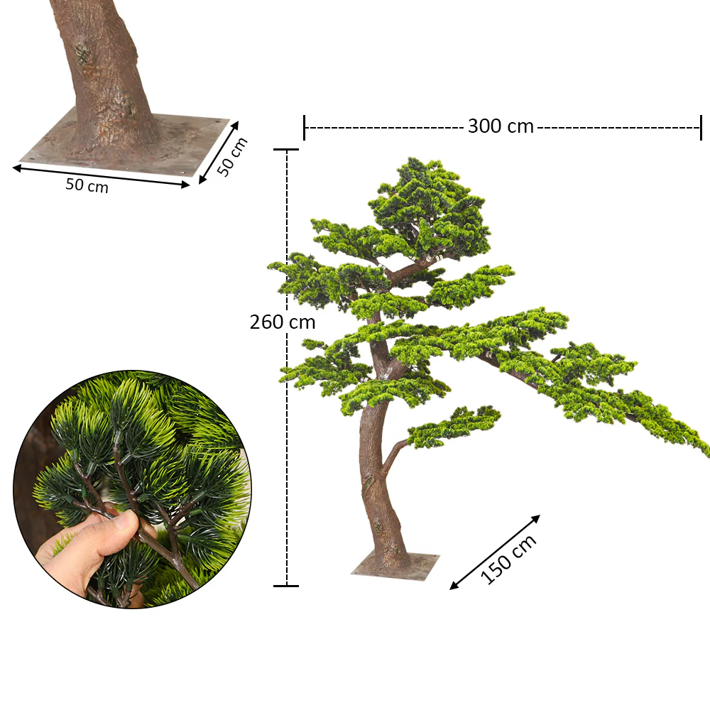 Windswept Evergreen Bonsai - Image 3