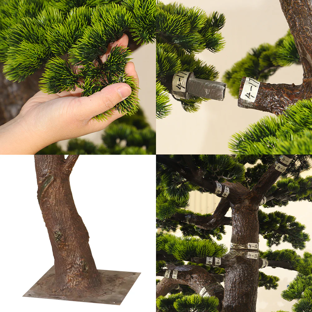 Windswept Evergreen Bonsai - Image 4